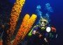 puerto-rico-diving