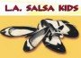 lasalsakids lasalsakids