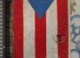 Puerto Rico Flag Door Puerto Rico Flag Door