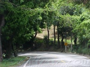 Mountain road Rincon Puerto Rico