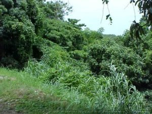 Mountain views in Rincon