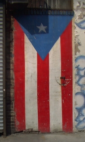 Puerto Rico Flag Door