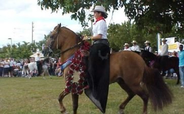 The History of the Paso Fino: a Classical Horse The History of the Paso Fino: a Classical Horse