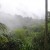 El Yunque Rain Forest Puerto Rico
