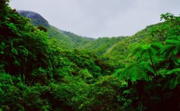 Health Benefits Shown for Outdoor Vacations in Puerto Rico Health Benefits Shown for Outdoor Vacations in Puerto Rico