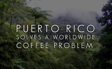 Puerto Rico Solves a Worldwide Coffee Problem
