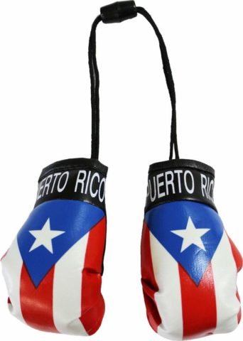 Flag Puerto Rican Print Boxing Gloves
