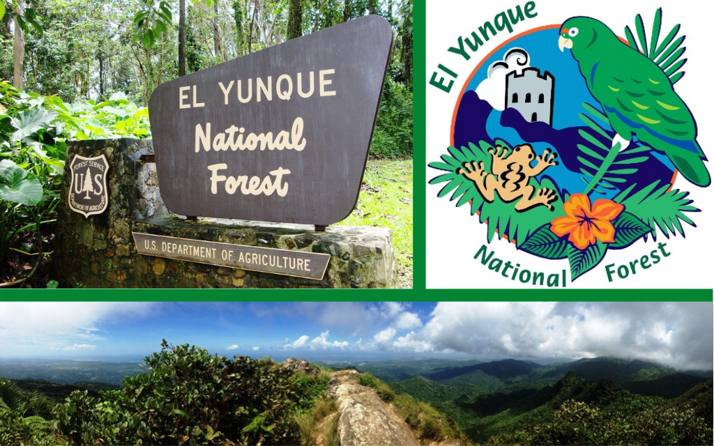 Yunque png