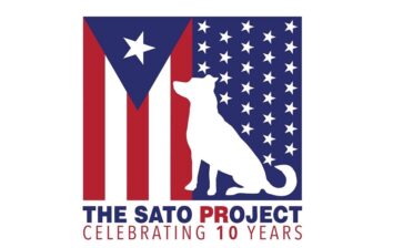 The Sato Project
