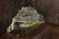 Rio Camuy Cave Park 