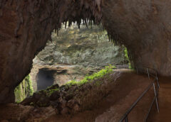 Rio Camuy Cave Park