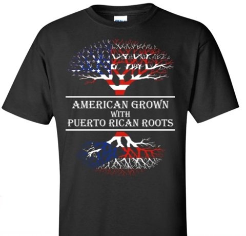 American Grown with Puerto Rican Roots Unisex Heavy Cotton Tee