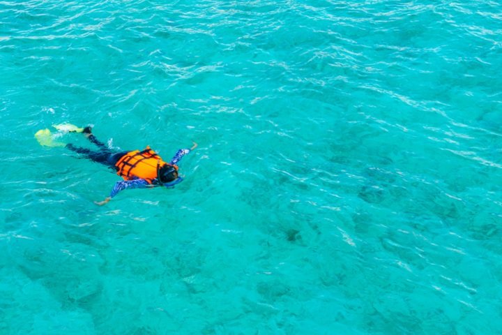 Snorkeling Tour Operator in Oahu