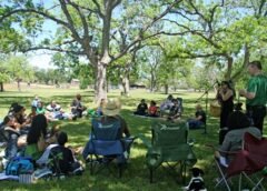 Celebrating Puerto Rican Heritage at the Annual Picnic in Kirkwood