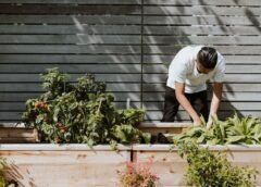 Home Gardening