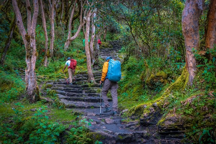 uphill stone path through forest inca trail day 1 inkayni peru tours