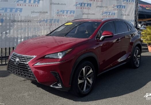 2019 Lexus NX