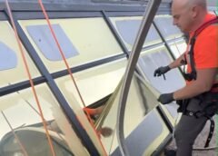 commercial window tinting